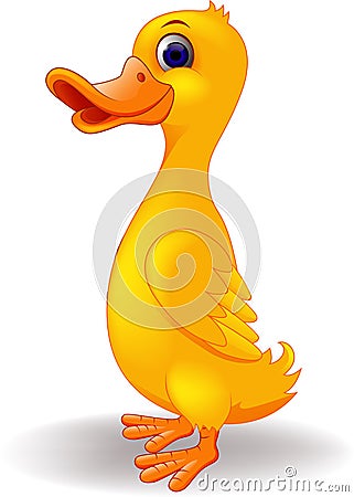 Funny duck cartoon Vector Illustration