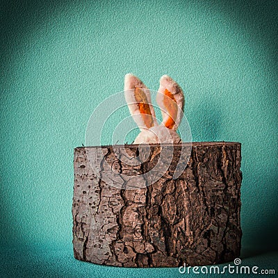 Funny Easter rabbit Stock Photo