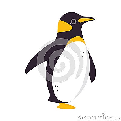 Funny Emperor Penguin as Aquatic Flightless Bird with Flippers Waddling Vector Illustration Vector Illustration