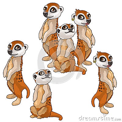 Funny family of meerkats. Vector animals isolated Vector Illustration