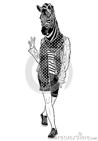 Funny fashion zebra (black and white) Cartoon Illustration