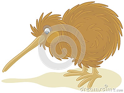 Amusing small birdie kiwi Vector Illustration