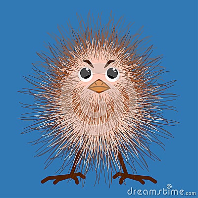 Funny fluffy Chicks in the nest Vector Illustration