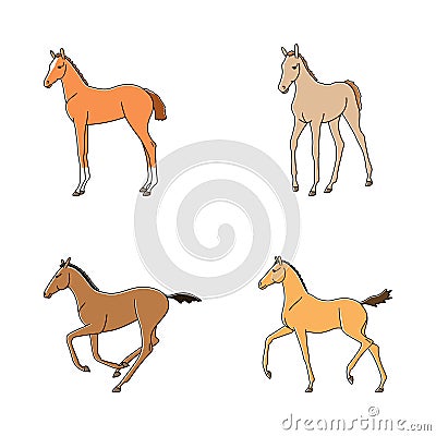 Funny foals in different poses. Vector modern simple isolated set Vector Illustration