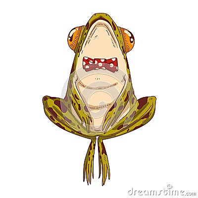 A funny frog in a bowtie, isolated vector illustration. Calm cartoon froglet, with its legs bent Vector Illustration