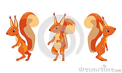 Funny Furry Squirrel Animal with Bushy Tail and Orange Coat Vector Set Vector Illustration