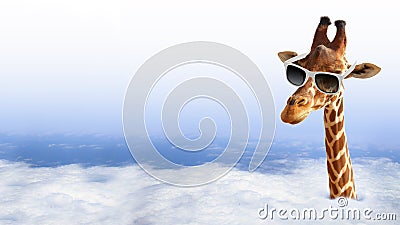 Funny giraffe with sunglasses Stock Photo