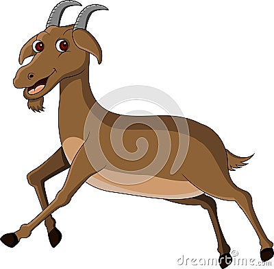 Funny goat cartoon Cartoon Illustration