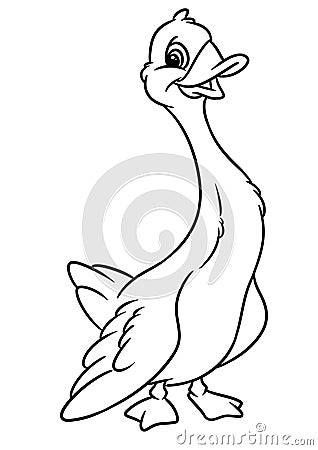 Funny goose animal character cartoon illustration coloring page Cartoon Illustration