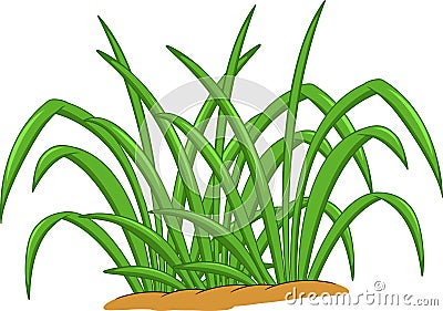 Funny grass leaf cartoon on white background Cartoon Illustration