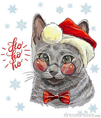 Funny gray cat in christmas hat vector illustration Vector Illustration