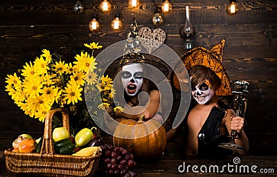 Funny group of friends kids in a Halloween costume on Halloween party. Halloween sweets. Children friends with pumpkin Stock Photo