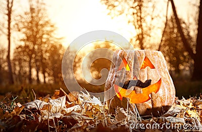 Funny Halloween pumpkin in the forest Stock Photo