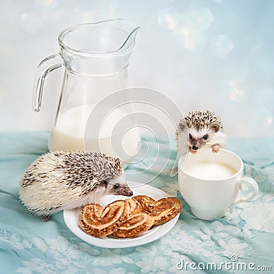 Funny hedgehogs near a mug of milk Stock Photo