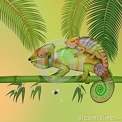 Illustration of chameleons Cartoon Illustration