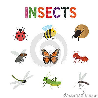 Funny insects, cute cartoon bugs vector set. Colored insects bee butterfly and ladybird, Vector Illustration