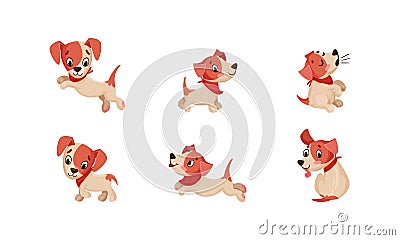 Funny Jack Russell Terrier Character Wriggling Tail, Running and Barking Vector Set Vector Illustration