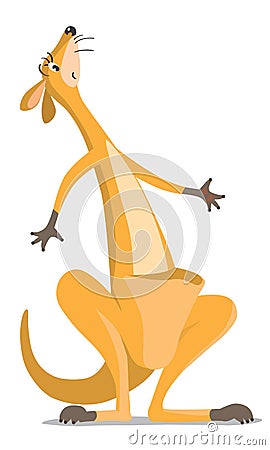 funny kangaroo Cartoon Illustration