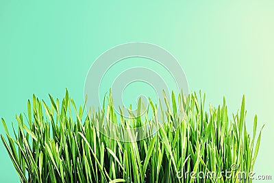 Funny kid eating watermelon outdoors on the gray backgrounds Stock Photo