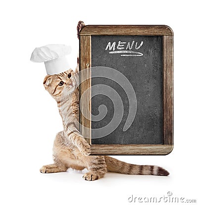 Funny kitten in cook hat holding menu blackboard Stock Photo