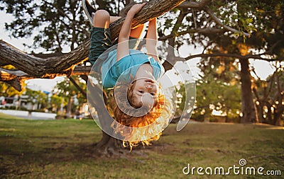 Funny little kid enjoying summer in a garden. child climbing the tree. Kids playing outdoor. Stock Photo