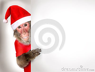 Funny monkey Santa Claus holding Christmas banner Stock Photo