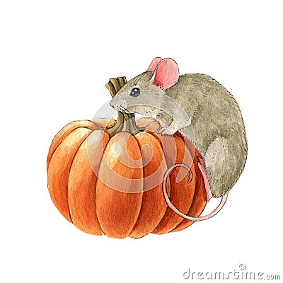 Funny mouse with pumpkin. Watercolor illustration. Thanksgiving decorative rustic season elemenet. Cute little mouse Cartoon Illustration