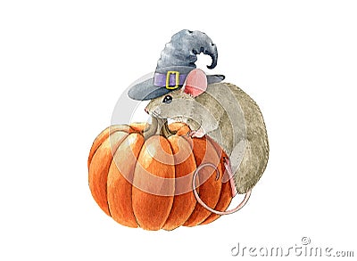 Funny mouse in a witch hat on pumpkin. Watercolor illustration. Halloween decorative element. Cute little mouse in Cartoon Illustration