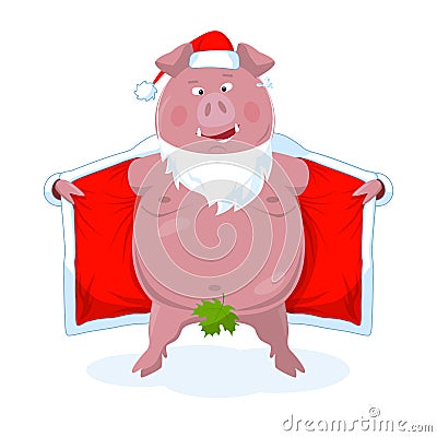 A funny naked boar in Santa`s costume. New Year`s vector. Vector Illustration