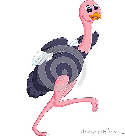 Funny ostrich cartoon Vector Illustration