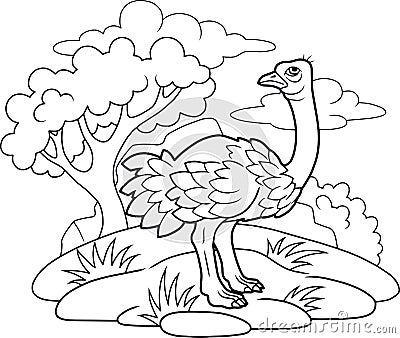 Funny ostrich coloring book Vector Illustration