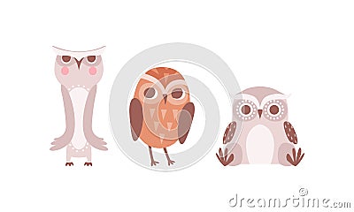 Funny Owlet with Big Eyes as Comic Nocturnal Bird Vector Set Vector Illustration