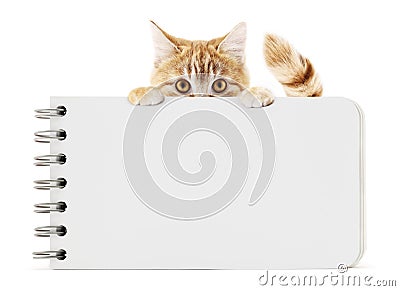 Funny pet cat showing a block notes isolated on white background and copy space Stock Photo
