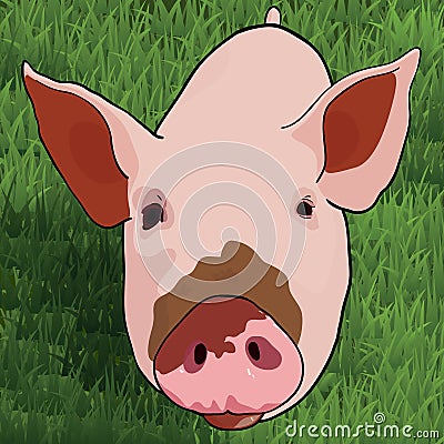 Funny pig on green grass Vector Illustration