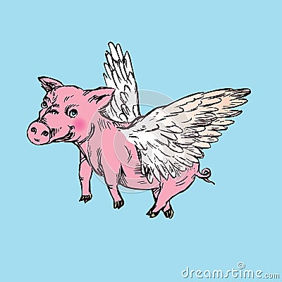Funny piggy with lovely angel wings, hand drawn doodle, sketch Vector Illustration