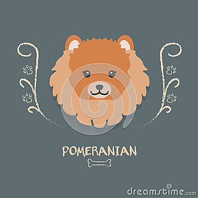 Funny Pomeranian Vector Illustration. Cute Cartoon Portrait Of A Dog