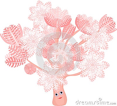 Funny Pumping Xenia Coral Stock Photo