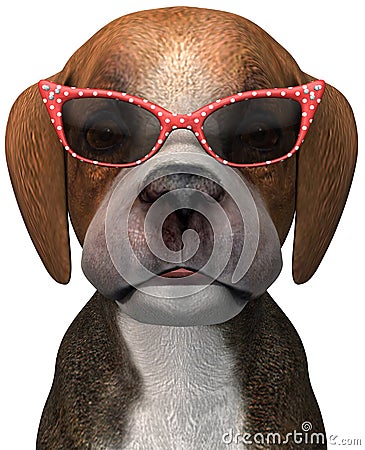 Funny Puppy Dog Sunglasses Isolated Stock Photo