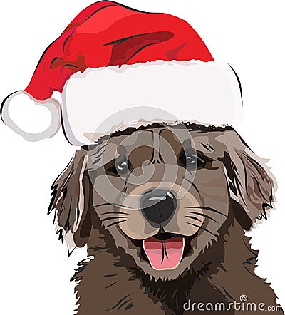 Funny Puppy/Golden retriever, in a red New Year`s cap, cute smiling puppy Stock Photo