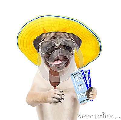 Funny puppy holding airline tickets. isolated on white background Stock Photo