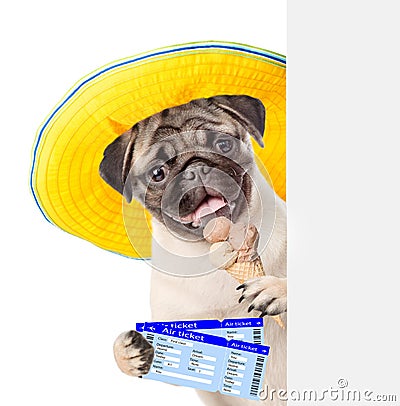 Funny puppy peeking from behind empty board and holding airline tickets and ice cream. isolated on white background Stock Photo