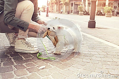 Funny puppy plays with his owner in urban place Stock Photo