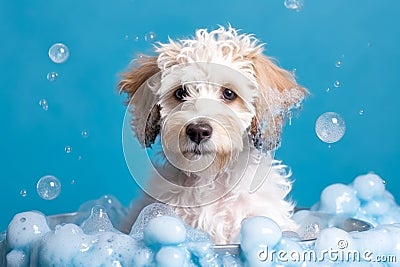 Funny puppy sitting in bathtub waiting for grooming. Banner for pet shop, grooming salon. Generative AI Stock Photo