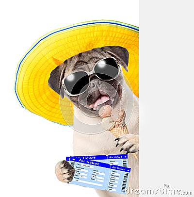 Funny puppy with sunglasses holding airline tickets and ice cream. isolated on white background Stock Photo