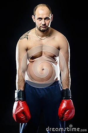 Funny resigned fat boxer Stock Photo