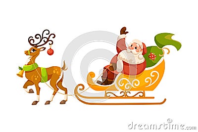 Funny Santa Character with White Beard and Red Hat Ride Sledge with Reindeer Vector Illustration Vector Illustration