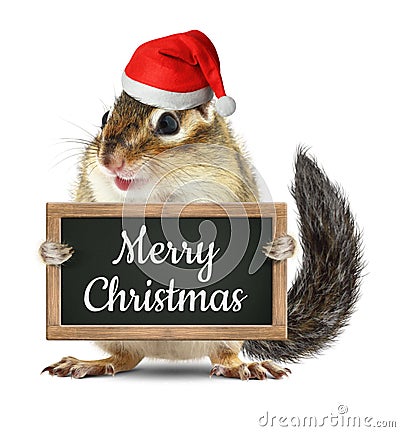 Funny santa claus, chipmunk hold blackboard with merry christmas Stock Photo