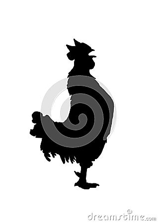 Funny screaming silhouette rooster Stock Photo