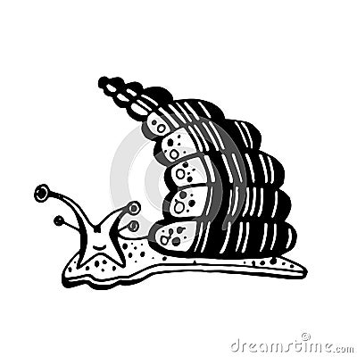 Funny snail sketch for your design. Hand drawn mollusk. Vector illustration. Vector Illustration