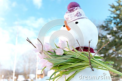 Funny snowmen with pink tulips, flowers in hands. Hello, welcome spring concept. Warm weather came. Melting snow. March. Sun Stock Photo